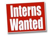 Summer Internship Opportunities for MBA